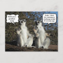 Search for lemur horizontal postcards Funny