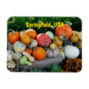 Search for bountiful magnets Autumn