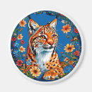 Search for lynx magnets Cat