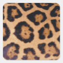 Search for surface labels Brown