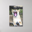 Search for snarling posters Outdoors