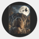 Search for witch moon stickers Spooky season