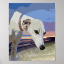 Search for greyhound posters Whippet