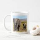Search for elephant trunk mugs animals in the wild