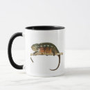 Search for madagascar mugs Reptiles