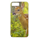 Search for whitetail deer iphone cases Nature