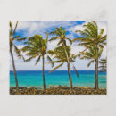 Search for cocos postcards Palm