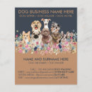 Search for pet sitting flyers Veterinary