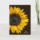 Search for dark brown cards Yellow
