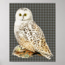 Search for white owl Retro