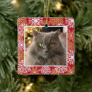 Search for cat memorial christmas tree decorations Red