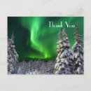 Search for fir tree postcards Night