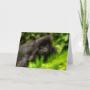 Search for mountain gorilla cards Ape