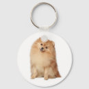 Search for pomeranian key rings Puppies