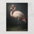 Search for flamingo picture postcards Vintage