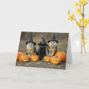 Search for black jack cards Jack o' lantern