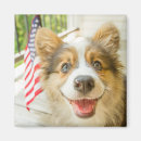 Search for cutest magnets Canine