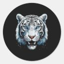 Search for animal eyes stickers Kitty