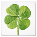 Search for lucky leaf posters St patrick's day