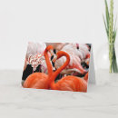 Search for flamingo valentines day cards Romance