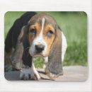 Search for bassets electronics Pet
