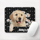 Search for star dog electronics Pet