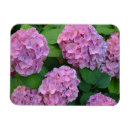 Search for bushes magnets Flower