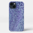 Search for snow leopard phone cases White