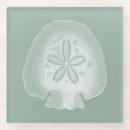 Search for shell decor coasters Sand dollar