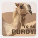 Search for camel stickers Funny