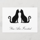 Search for black cat design postcards Kitten