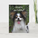 Search for papillon birthday cards Dogs