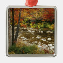 Search for new hampshire white mountains christmas tree decorations Nature