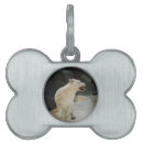 Search for wolf pet supplies Wildlife