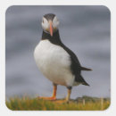Search for puffin stickers Sea