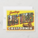 Search for big tree postcards Travel