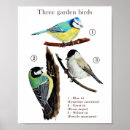 Search for tits art Illustration