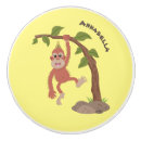 Search for monkey knobs and pulls Ape