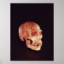Search for the evolution of man art Hominid
