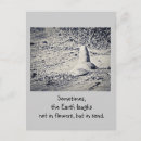 Search for florida seashells vertical postcards Sand