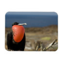 Search for ecuador magnets National park