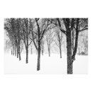 Search for cold weather posters Trees