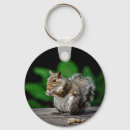 Search for peanut key rings Nuts