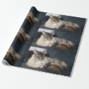 Search for maine wrapping paper Cat