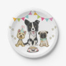 Search for border collie plates Pug