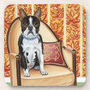 Search for boston coasters Pets