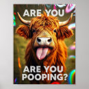 Search for cattles art Scottish