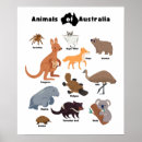 Search for australian animal posters Aussie
