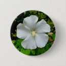 Search for hibiscus badges Pink