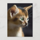 Search for kat postcards Cat